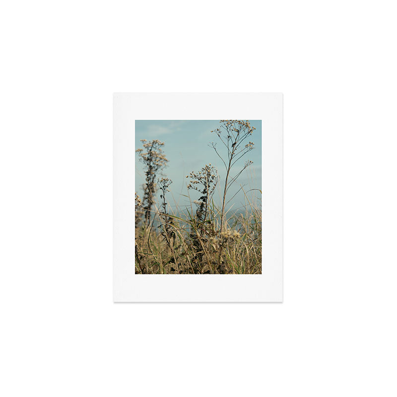 November Field - nature photo environment outdoors Art Print Gallery Image 1