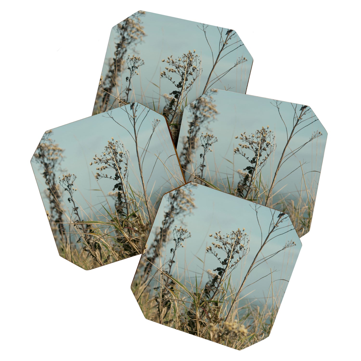November Field - nature photo environment outdoors Coaster Gallery Image 1