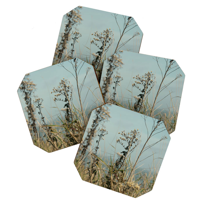 November Field - nature photo environment outdoors Coaster Gallery Image 1