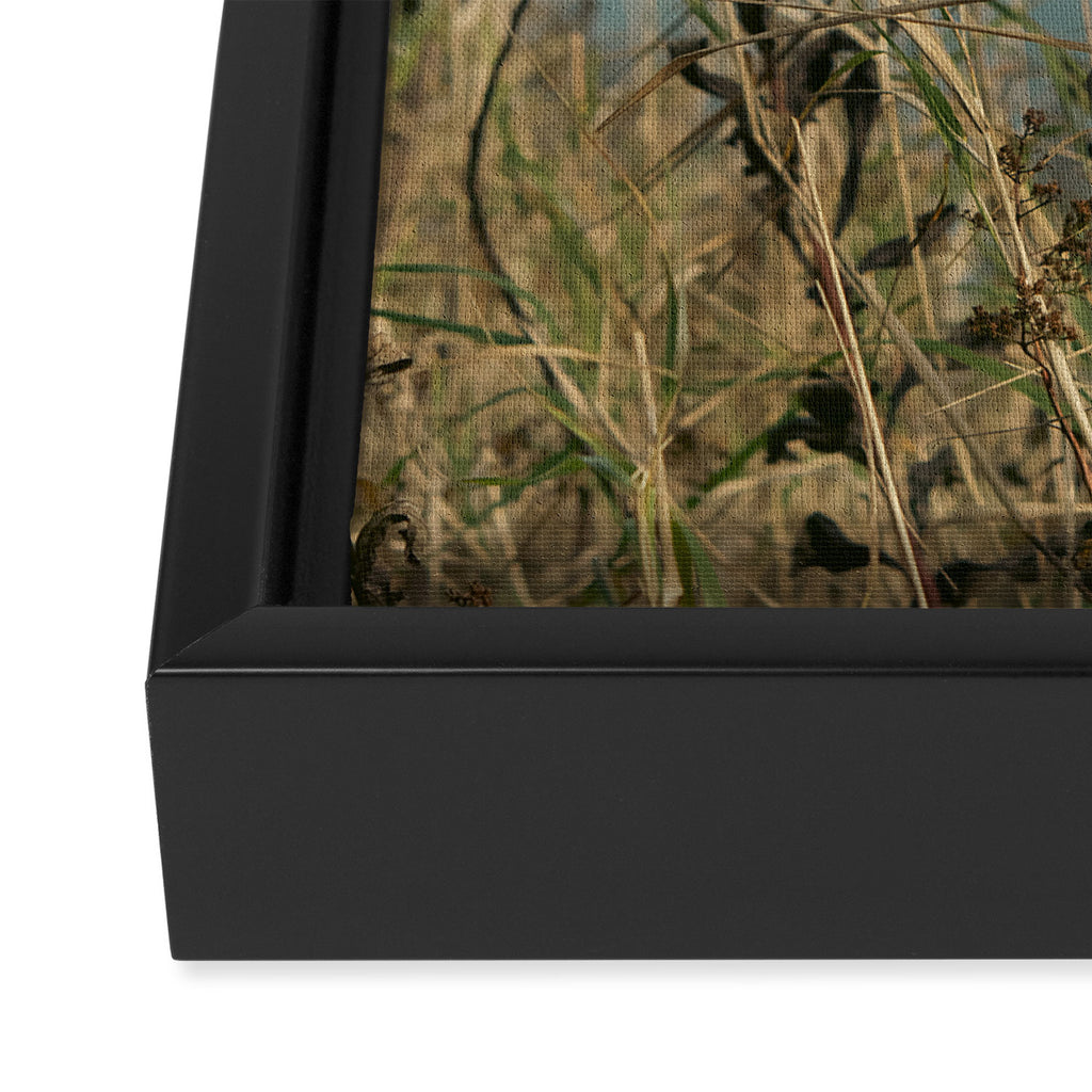November Field - nature photo environment outdoors Framed Canvas Print Gallery Image 3