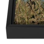 November Field - nature photo environment outdoors Framed Canvas Print Gallery Image 3
