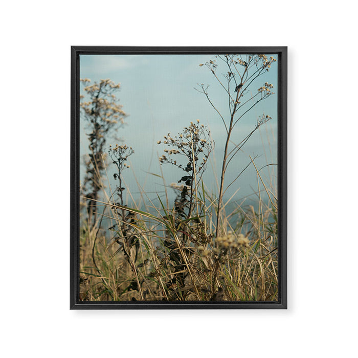 November Field - nature photo environment outdoors Framed Canvas Print Gallery Image 1