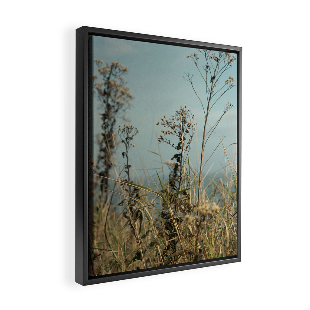 November Field - nature photo environment outdoors Framed Canvas Print Gallery Image 2