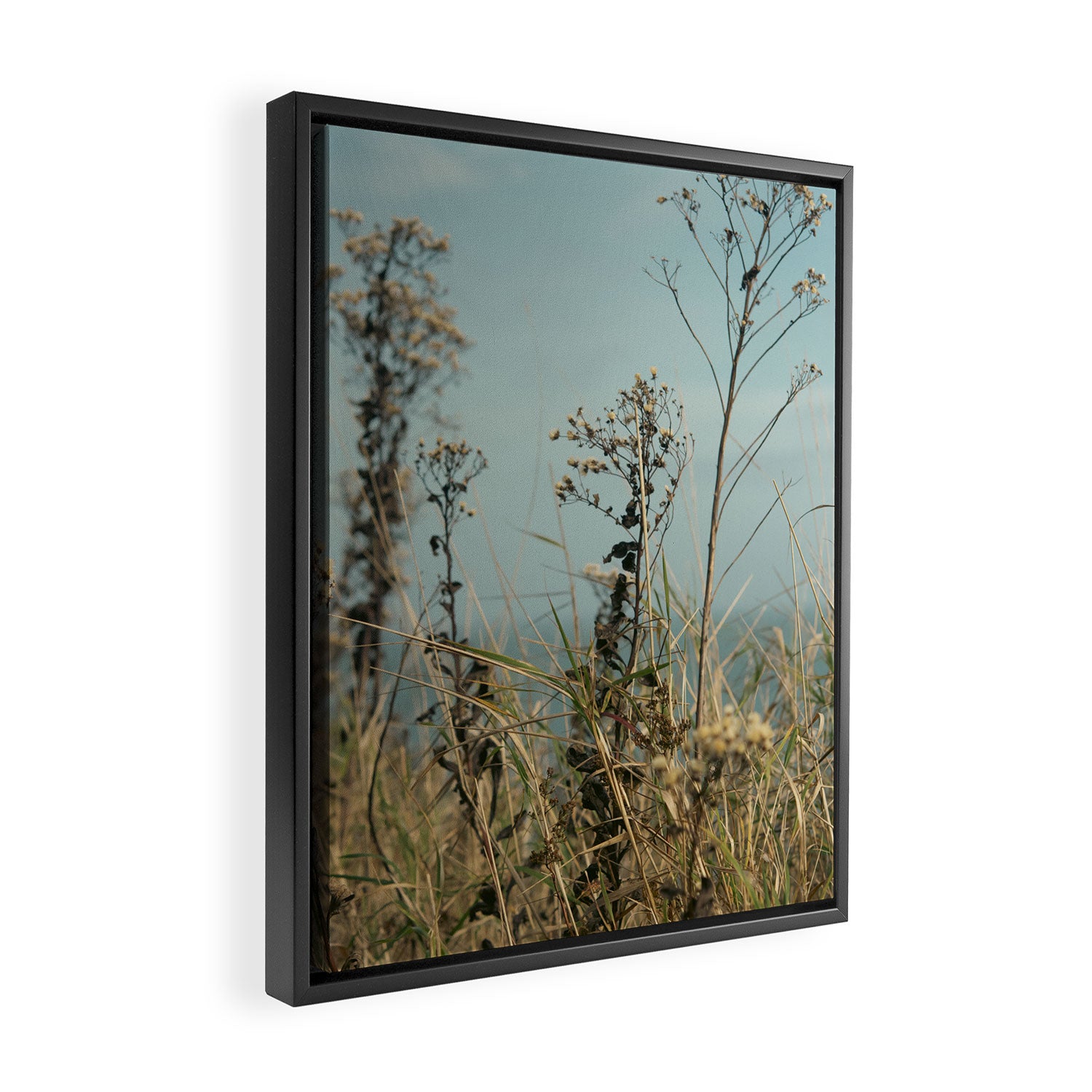 November Field - nature photo environment outdoors Framed Canvas Print Gallery Image 2
