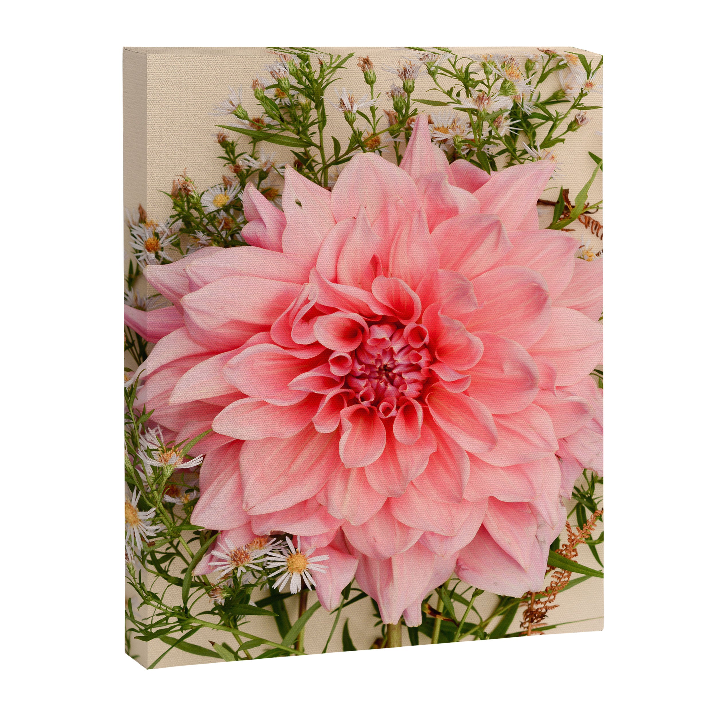 Nuances of Pink - Modern Botanical Dahlia Flower Photography Canvas Print Gallery Image 6
