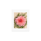 Nuances of Pink - Modern Botanical Dahlia Flower Photography Art Print Gallery Image 1