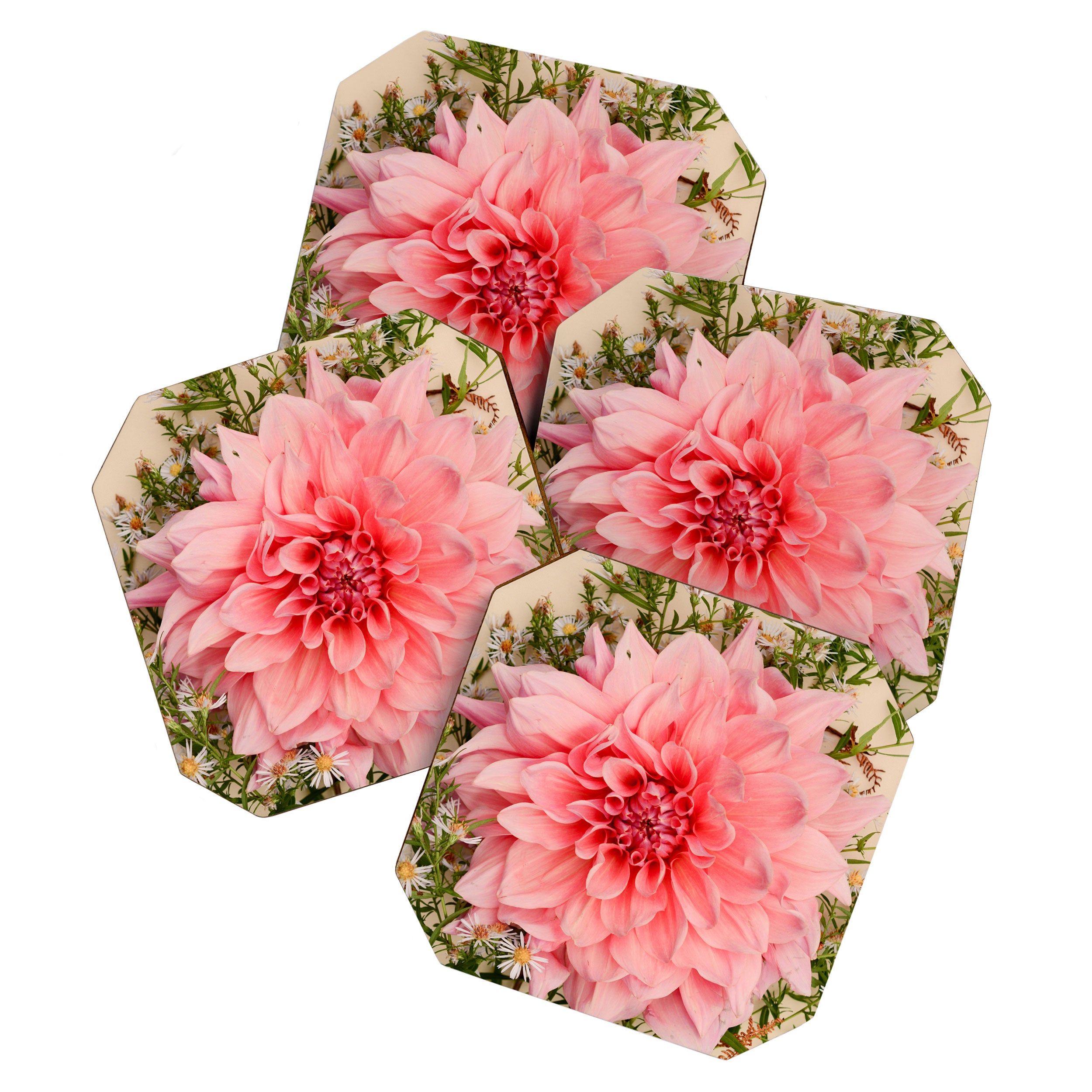 Nuances of Pink - Modern Botanical Dahlia Flower Photography Coaster Gallery Image 1