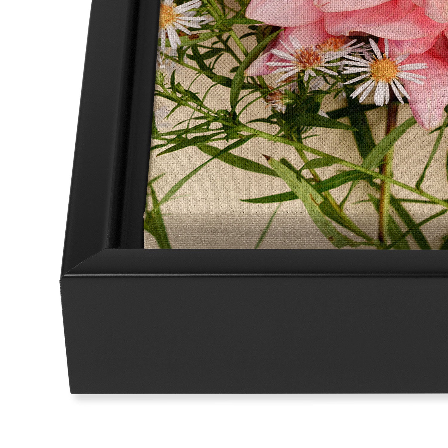 Nuances of Pink - Modern Botanical Dahlia Flower Photography Framed Canvas Print Gallery Image 3