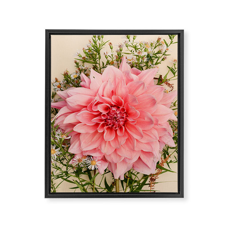 Nuances of Pink - Modern Botanical Dahlia Flower Photography Framed Canvas Print Gallery Image 6