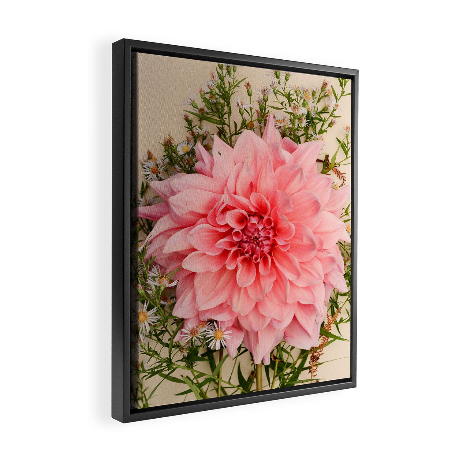 Nuances of Pink - Modern Botanical Dahlia Flower Photography Framed Canvas Print Gallery Image 2