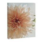 Oh Hello happy pink dahlia flower photograph Canvas Print Gallery Image 6