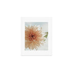 Oh Hello happy pink dahlia flower photograph Art Print Gallery Image 1