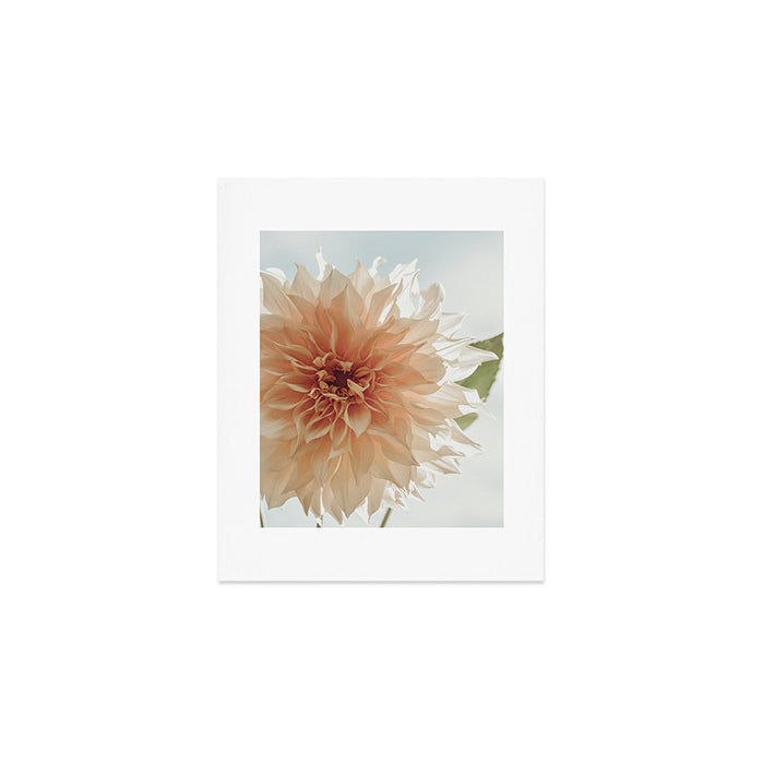 Oh Hello happy pink dahlia flower photograph Art Print Gallery Image 1
