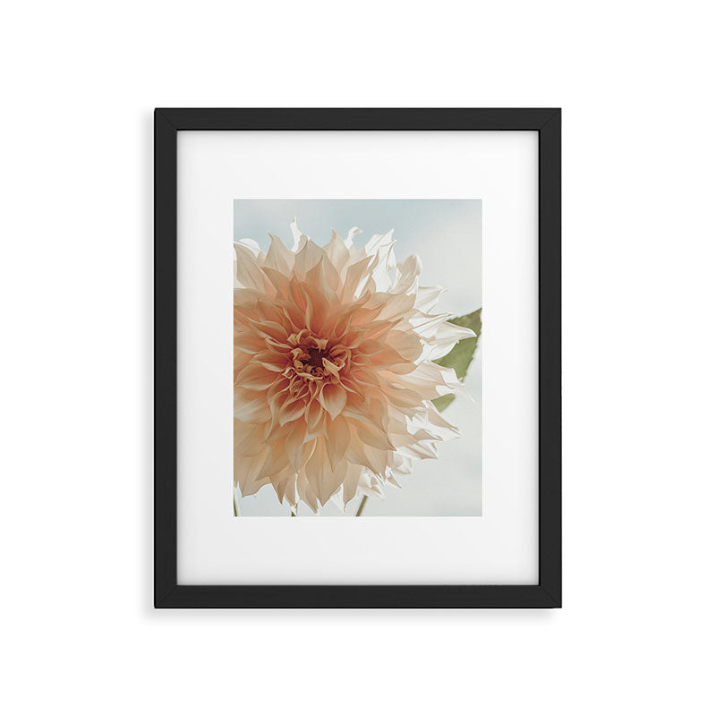 Oh Hello happy pink dahlia flower photograph Framed Art Print Gallery Image 5