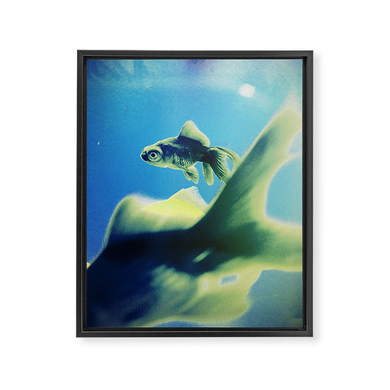 One Fish Two Fish Framed Canvas Print Gallery Image 6