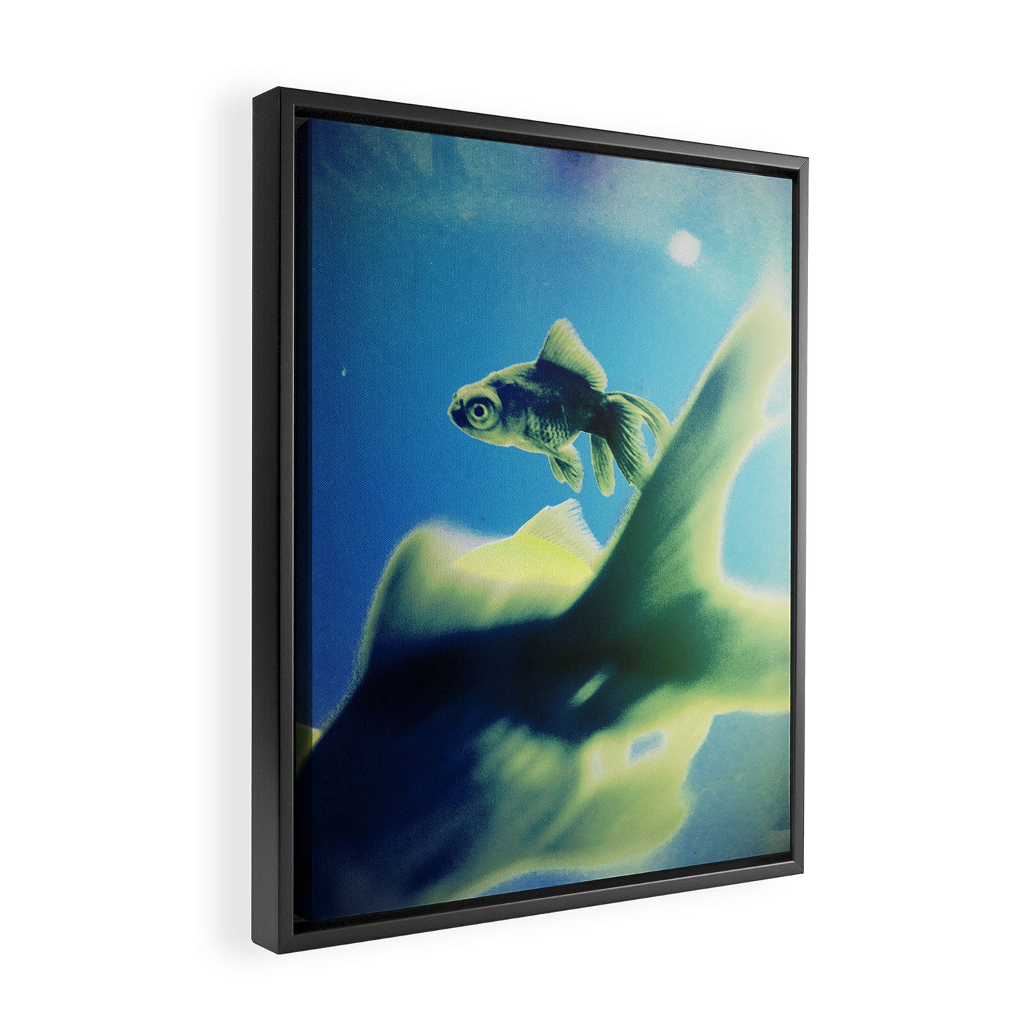 One Fish Two Fish Framed Canvas Print Gallery Image 2