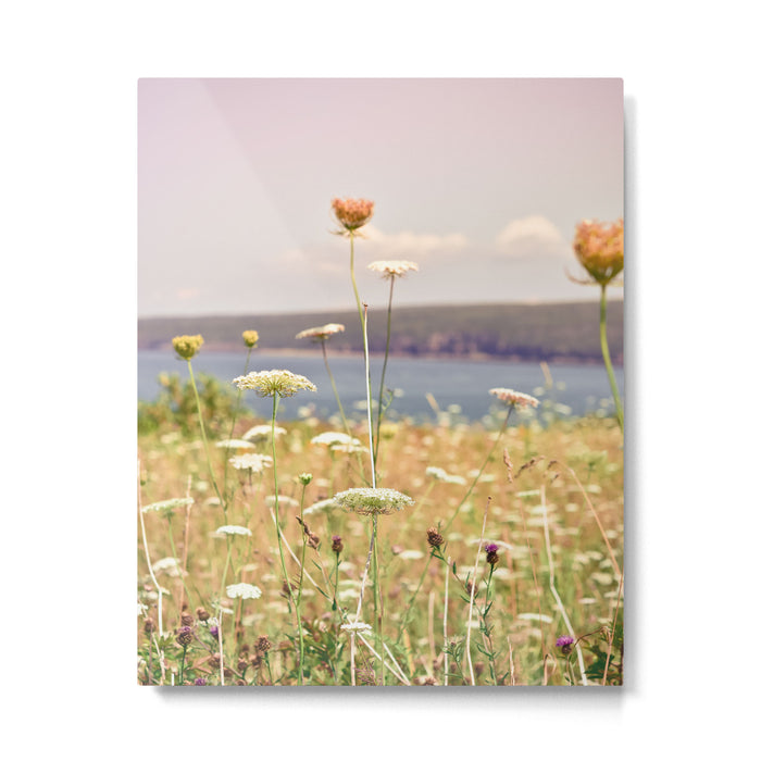 One Summer Afternoon in Nova Scotia Metal Print Gallery Image 1