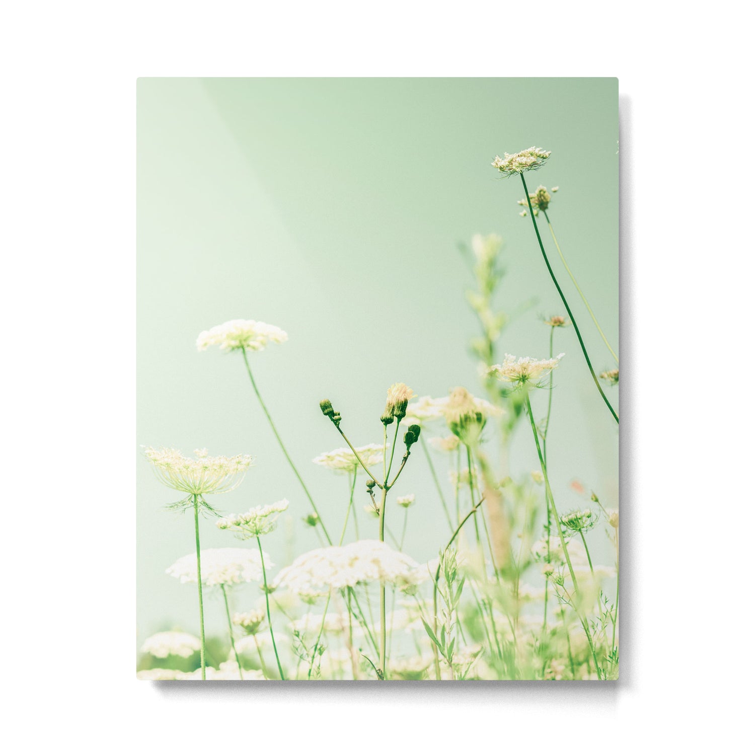 Openhearted Metal Print Gallery Image 4