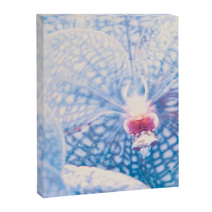 Orchid Canvas Print Gallery Image 1
