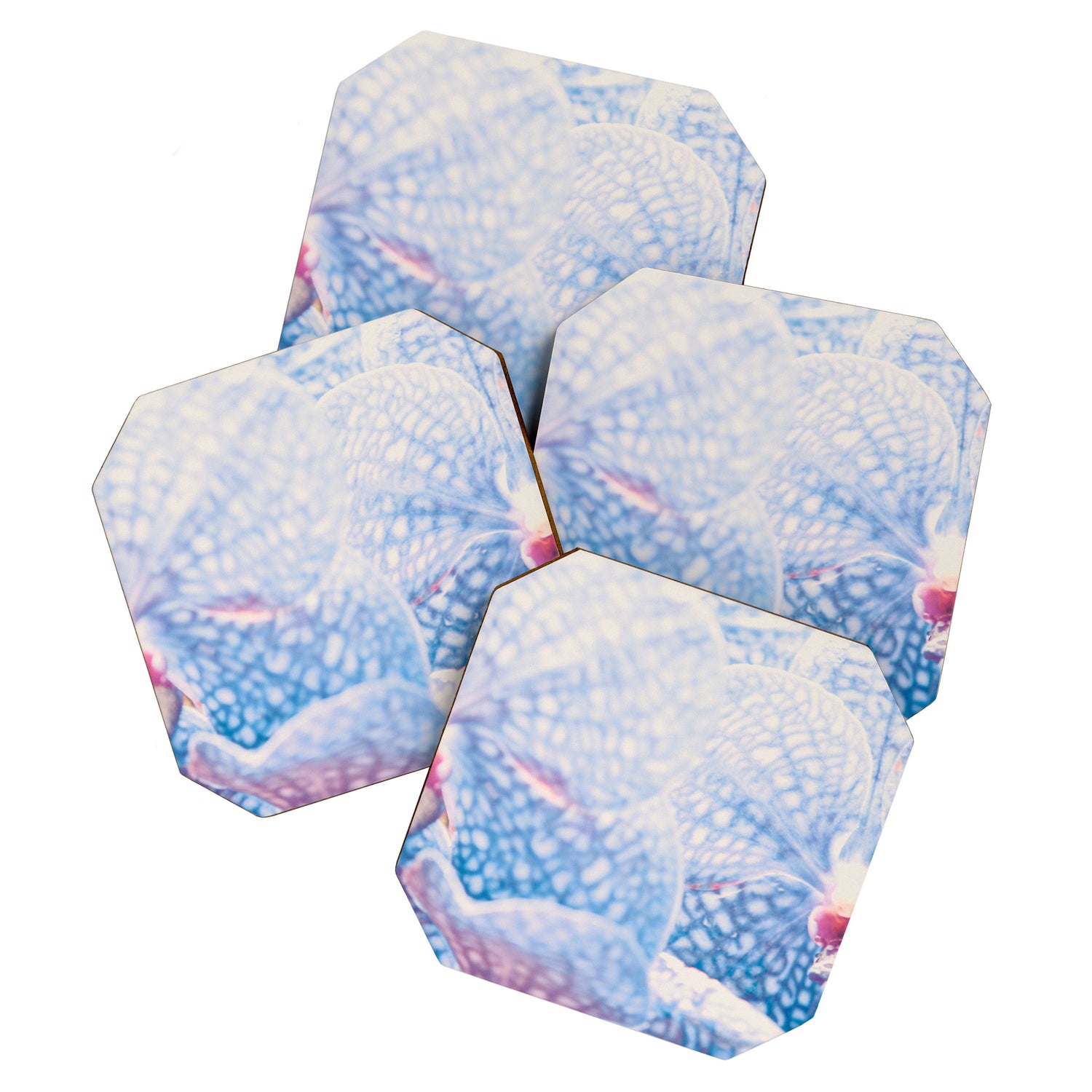 Orchid Coaster Gallery Image 1