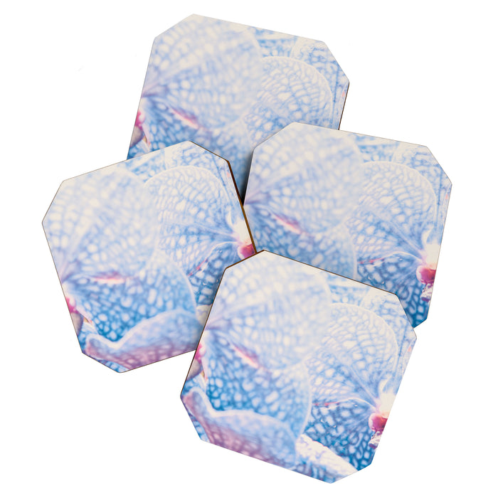 Orchid Coaster Gallery Image 1