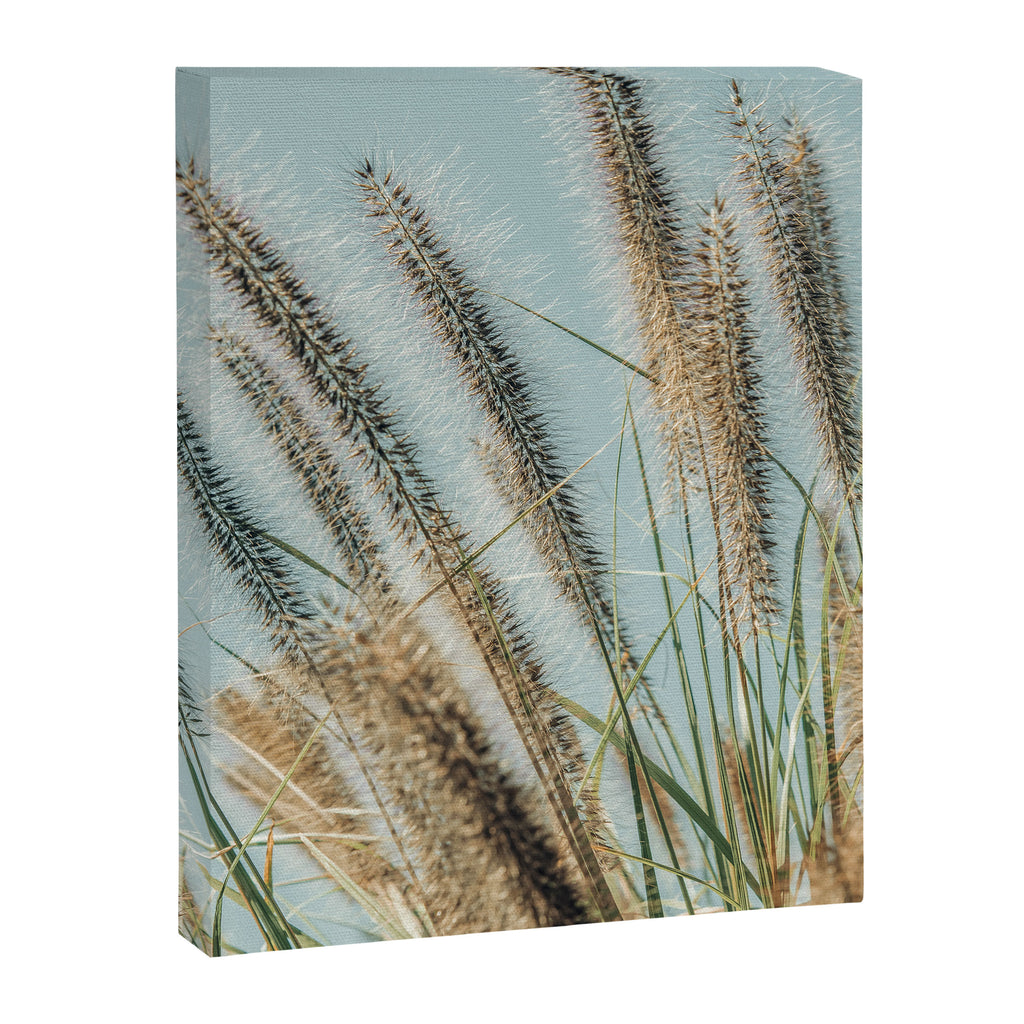 Ornamental Grasses 1 Canvas Print Gallery Image 6