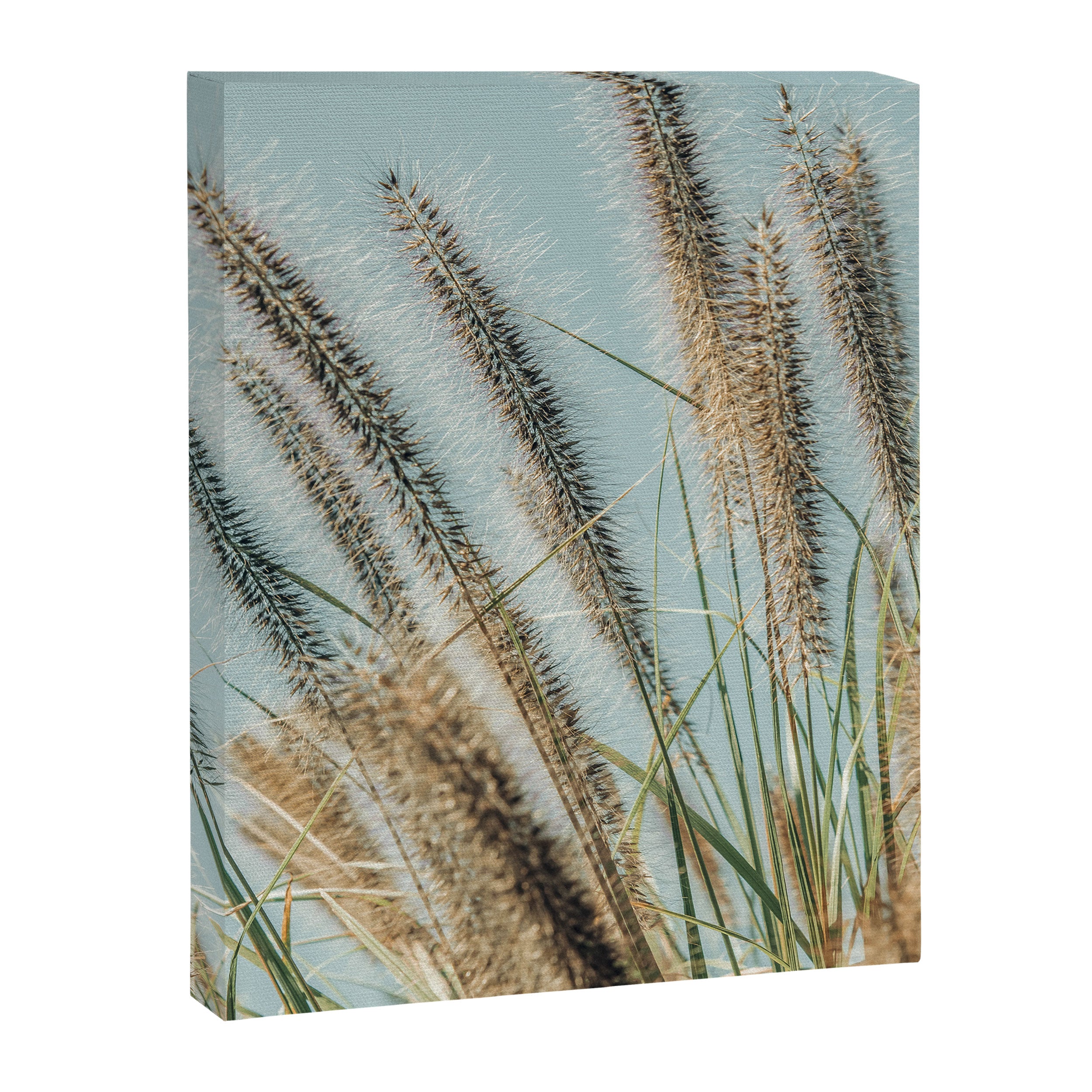 Ornamental Grasses 1 Canvas Print Gallery Image 6