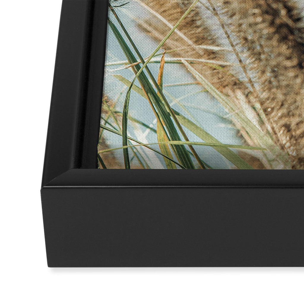 Ornamental Grasses 1 Framed Canvas Print Gallery Image 3