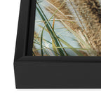 Ornamental Grasses 1 Framed Canvas Print Gallery Image 3
