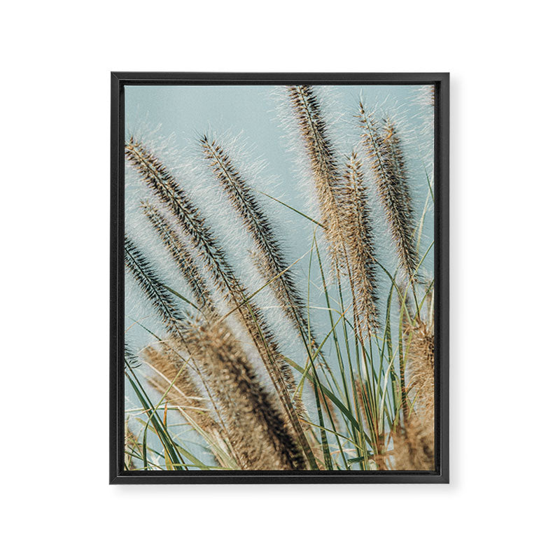 Ornamental Grasses 1 Framed Canvas Print Gallery Image 6