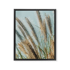 Ornamental Grasses 1 Framed Canvas Print Gallery Image 6