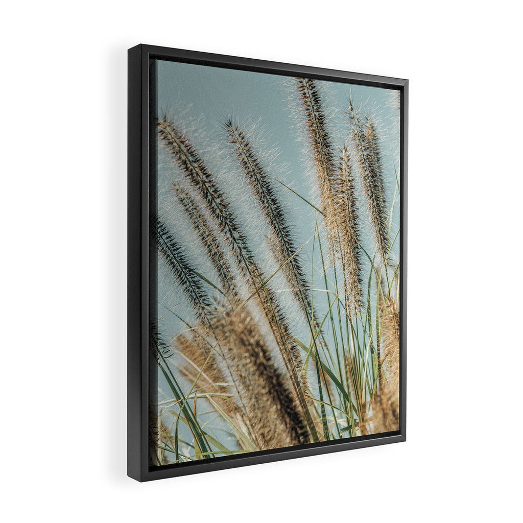 Ornamental Grasses 1 Framed Canvas Print Gallery Image 2