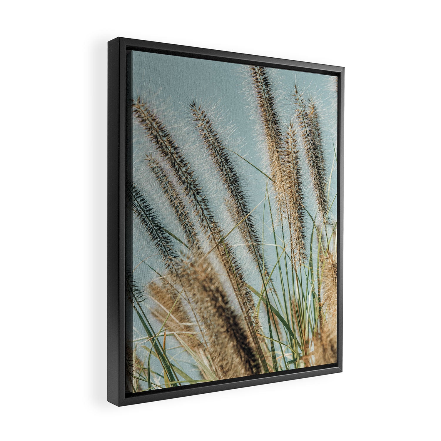 Ornamental Grasses 1 Framed Canvas Print Gallery Image 2