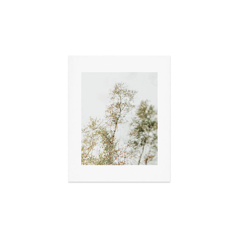 Overhead Canopy 2 - Modern Abstract Tree Photo Art Print Gallery Image 1