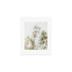 Overhead Canopy 2 - Modern Abstract Tree Photo Art Print Gallery Image 1