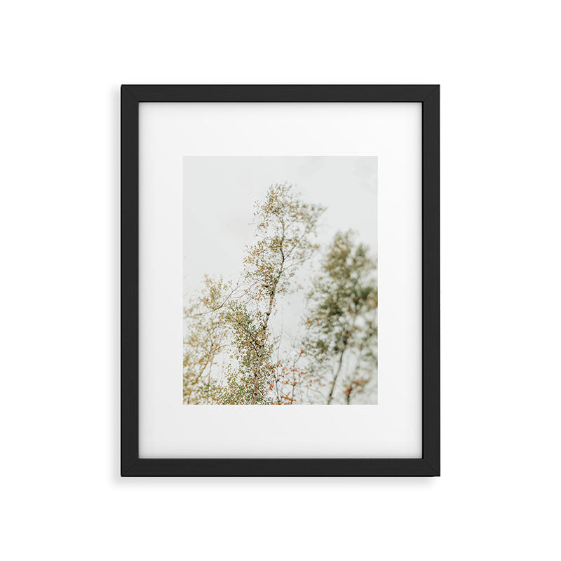 Overhead Canopy 2 - Modern Abstract Tree Photo Framed Art Print Gallery Image 5