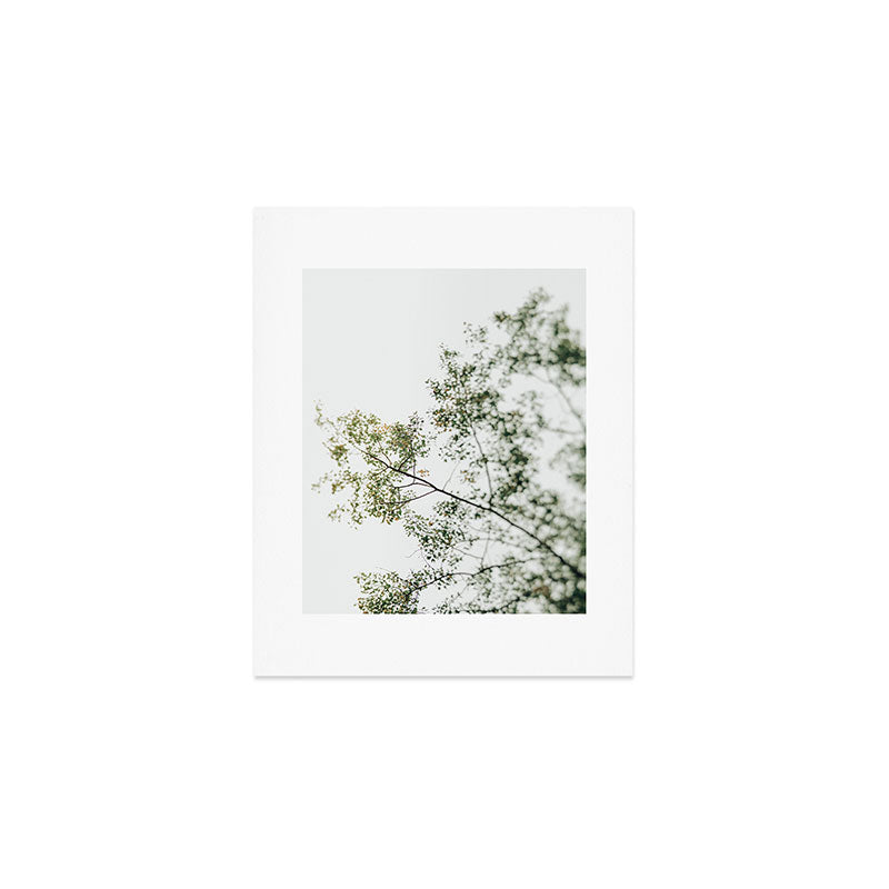 Overhead Canopy - Abstract Tree Photo Art Print Gallery Image 1