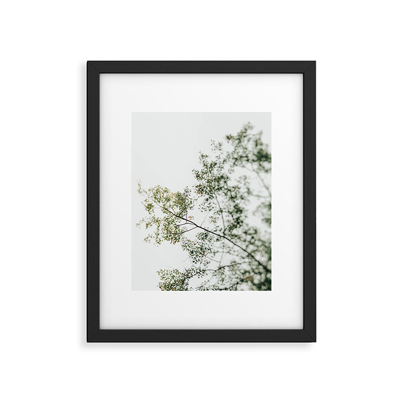 Overhead Canopy - Abstract Tree Photo Framed Art Print Gallery Image 5