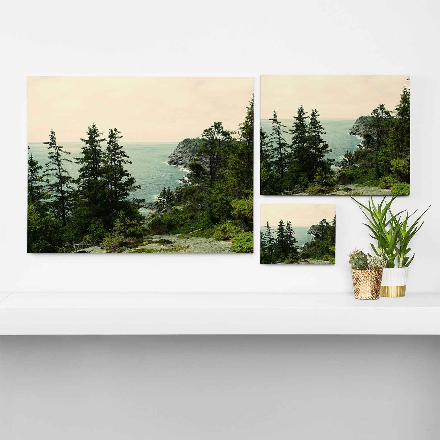 Path Through the Trees Canvas Print Gallery Image 3