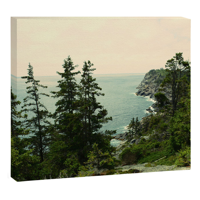 Path Through the Trees Canvas Print Gallery Image 1