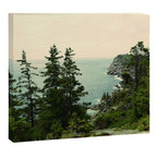 Path Through the Trees Canvas Print Gallery Image 3