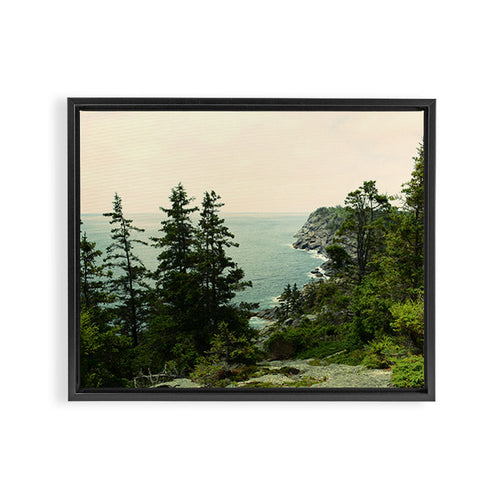 Path Through The Trees Framed Canvas Print