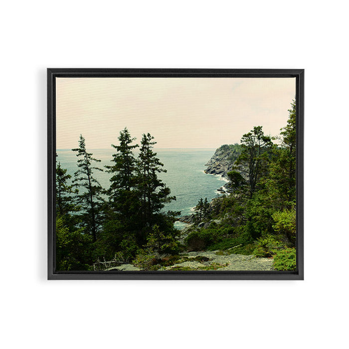 Path Through the Trees Framed Canvas Print Gallery Image 1