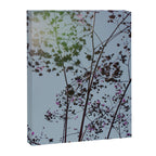 Pendulous - blossoms airy flower print botanical photograph Canvas Print Gallery Image 6