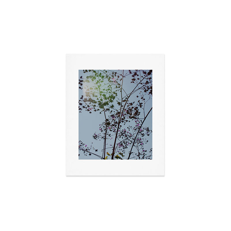 Pendulous - blossoms airy flower print botanical photograph Art Print Gallery Image 1