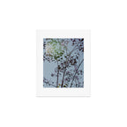 Pendulous - blossoms airy flower print botanical photograph Art Print Gallery Image 1