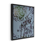 Pendulous - blossoms airy flower print botanical photograph Framed Canvas Print Gallery Image 2
