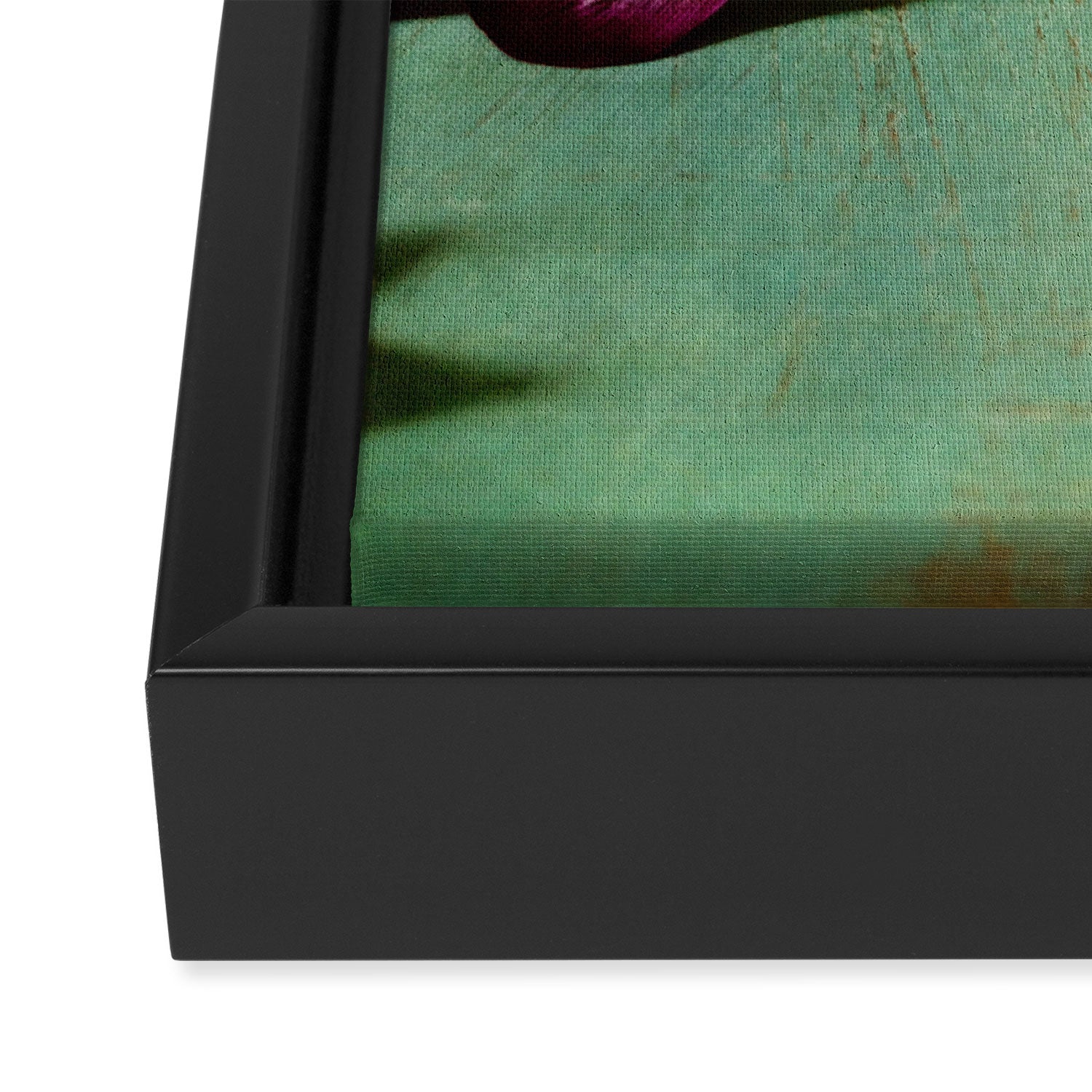Petals Unfold, Opening to Life Framed Canvas Print Gallery Image 3