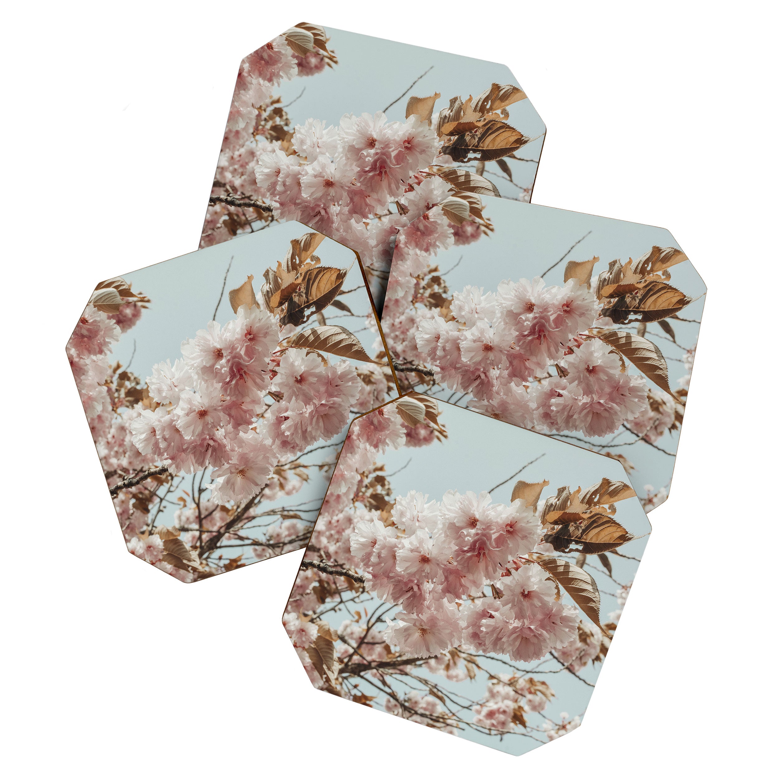 Pink Blossoms - pastel pink flowers cottage core floral grannycore Coaster Gallery Image 1