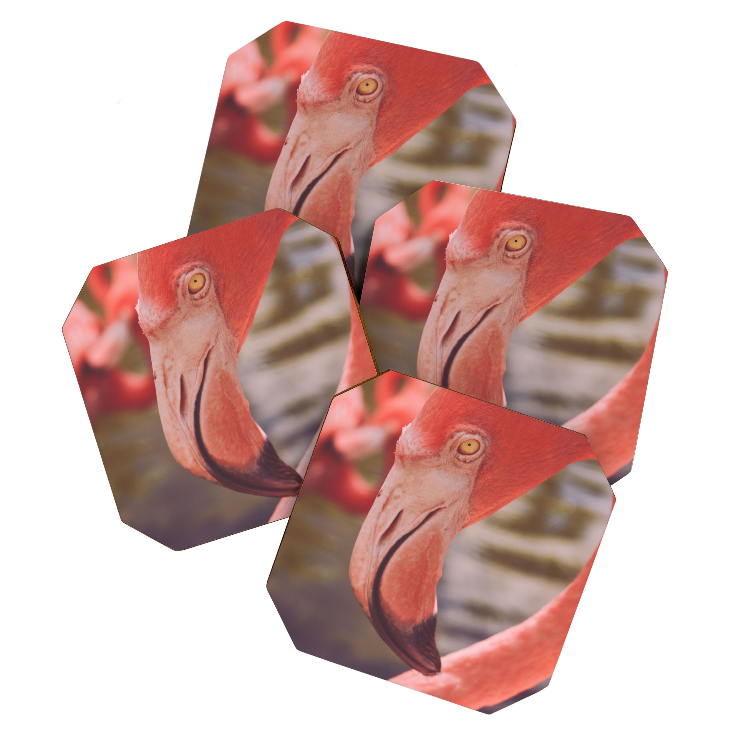 Pink Flamingo II Coaster Gallery Image 1